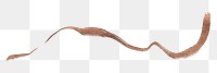 Png brown brush stroke line, transparent background