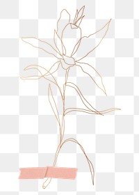 Monoline flower png sticker illustration, transparent background