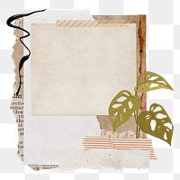 Png botanical instant photo frame collage element, transparent background