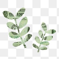 Leaf bank note png on transparent background