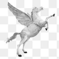 White unicorn png on transparent background