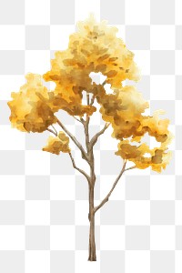Autumn tree png, yellow plant collage element, transparent background