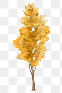 PNG watercolor autumn tree, nature clipart, transparent background