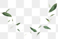 Floating leaves png, nature border collage element, transparent background