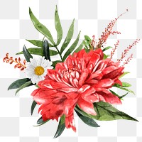 Red chrysanthemum png, watercolor flower arrangement collage element, transparent background