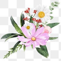 Pink cosmos png, watercolor flower arrangement collage element, transparent background