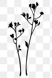 Silhouette flower png, kangaroo paw, transparent background