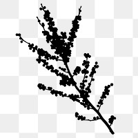 Silhouette flower png, winterberry branch clipart, transparent background