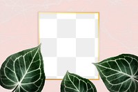 Square golden nature frame on a pink background design element