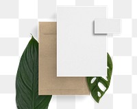 Document & envelope png sticker, green leaf aesthetic