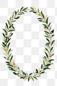 Olive branches wreath png green botanical