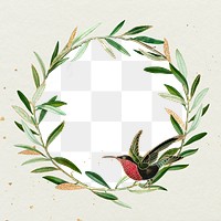 Hummingbird pattern frame png olive branches design space