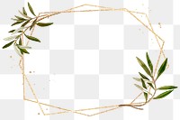 Botanical frame png olive branches pattern