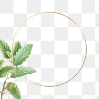Frame png botanical oak leaf pattern