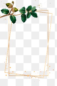 Frame png botanical oak leaf pattern