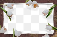 White tulip frame design element