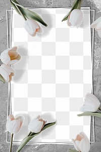 White tulip frame  design element