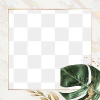 Marble frame png with golden lining and green leaf 