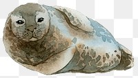 Watercolor painted seal transparent png