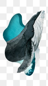 Watercolor painted humpback whale transparent png