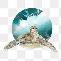 Watercolor painted turtle in a green badge transparent png