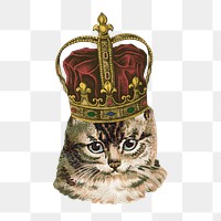 Cat wearing a crown sticker transparent png