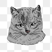 Hand drawn gray cat sticker transparent png