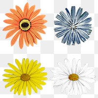 Blooming colorful flower mixed set transparent png