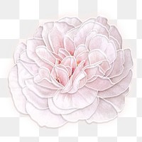 White neon rose transparent png