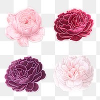 Blooming neon rose transparent png