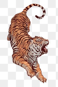 Hand drawn roaring tiger overlay