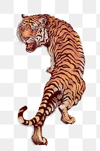 Hand drawn roaring tiger overlay