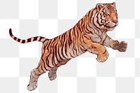 Hand drawn jumping tiger overlay