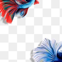 Betta fish tail background design element 
