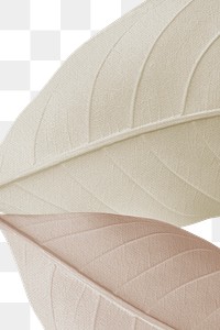 Closeup of beige leaves texture design element