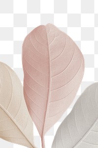 Closeup of pastel leaves texture design element