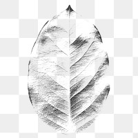 Dried leaf texture design element
