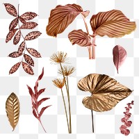 Metallic tropical leaf design element set
