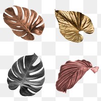 Metallic tropical leaf design element set