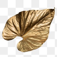 Closeup of gold leaf design element