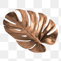 Golden monstera leaf design resource 