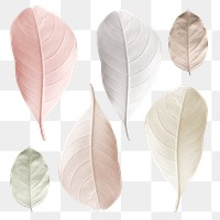 Mix of pastel leaves design element