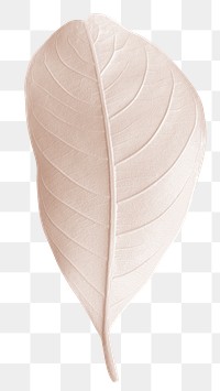 Closeup of pink pastel leaf design element