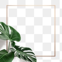 Golden monstera square frame design resource 