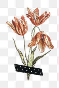 Tulip flower with washi tape design element 