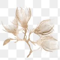 Magnolia x-ray design transparent png, remix from original artwork