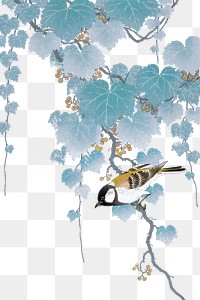 Great tit bird on a paulownia branch vintage illustration transparent png, remix from original artwork.