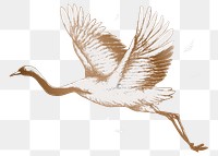 Flying crane vintage illustration transparent png design remix