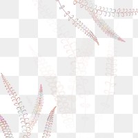 Spleenwort fern frame design element 