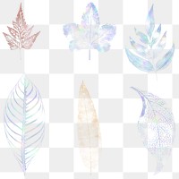 Holographic fern set design resources